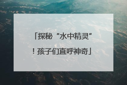 探秘“水中精灵”！孩子们直呼神奇